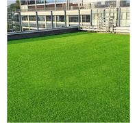 Tappeto erboso artificiale per esterni, 2,5 cm di spessore, tappeto da giardino, per esterni, per cortili, erba sintetica sintetica, 2 x 3 m