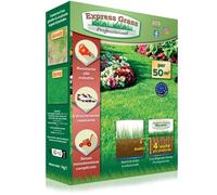 Tappeto erboso professionale Express - Affidabile, resistente al freddo e al calore - Germinazione ultra rapida e densa (10 giorni) - Tutti i tipi di clima - 1 scatole - 50M²