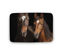 Tappeto grande con due cavalli in piedi su sfondo nero, in velluto di corallo con retro in gomma, antiscivolo, tappetino da bagno elegante tappeto lavabile per sala giochi, 40 x 60 cm
