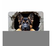 Tappeto Illusione Ottica - Decorazione morbida antiscivolo con scoiattolo e cane per la casa, decorazione 3D con effetto visivo, per ingresso soggiorno, camera da, corridoio, compleanno