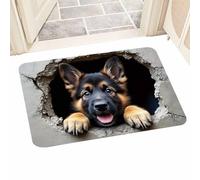 Tappeto Illusione - Tappeto Illusione Ottica, Tappeti Illusioni Ad Asciugatura Rapida, Tappetino Morbido Antiscivolo Ad Asciugatura Rapida Con Scoiattolo E Cane, Tappeti Illusioni Ottiche 3D Per Corri