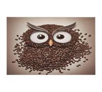 Tappeto in chicco di caffè con gufo per ingresso, lavabile, con retro in gomma antiscivolo, per cucina, morbido, resistente alle macchie, piccolo tappeto per camera da letto, bagno, decorazione per