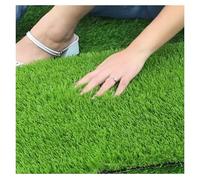 Tappeto in erba sintetica 5m x 3m, altezza del pelo 20mm, tappetini in erba sintetica realistici per uso interno, sottofondo dall'aspetto naturale incluso