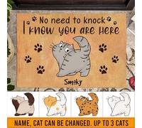 Tappeto Ingresso Casa Divertenti Tappeti D'Ingresso Resistente Zerbino Di Benvenuto Per Terrazzo Camera Letto Soggiorno 40X60Cm Non C'È Bisogno Di Bussare Ai Gatti