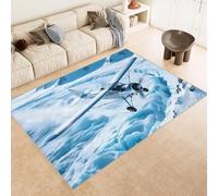 Tappeto Ingresso Imitazione Cashmere 50x80 cm Stampato Aereo Nuvole Cielo Creativo 3D Aspirapolvere o Lavaggio In Lavatrice Supporto Antiscivolo Tappeto Scendiletto Adatto a Dormitori Carpet