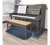 Tappeto insonorizzato per pianoforte verticale Tappetino protettivo per pianoforte Tappetino antiscivolo Tappetino acustico Tappetino fonoassorbente Coperte fonoassorbenti