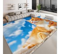 Tappeto Lavabile 120 x 170 cm per Cameretta, Corridore Antiscivolo Cielo Azzurro Nuvole Bianche per Camera da Letto - Tappeti Cartoon Animale Gatto Rosso a Pelo Corto per Sala da Pranzo Ufficio