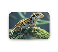 Tappeto leopardato Little Gecko di grandi dimensioni, in velluto di corallo, con retro in gomma, antiscivolo, per vasche da bagno, elegante, lavabile, per sala giochi, 40 x 60 cm