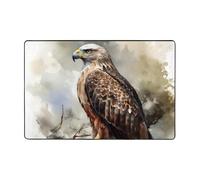 Tappeto moderno 91 x 61 cm, corto peluche ultra morbido tappeto da ingresso lavabile antiscivolo tappetino acquerello di Hawk tappeto per soggiorno, camera da letto, ufficio, dormitorio, decorazione