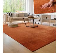 Paco Home Tappeto Moderno e Morbido per Soggiorno a Pelo Corto Lavabile Fluffy Uni Effetto Pelliccia Senza Tempo Elegante Antiscivolo Facile da Pulire, Dimensione:240x340 cm, Colore:Rame