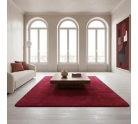 Tappeto Moderno Uni Moderno Facile da Pulire Senza Tempo Lavabile Resistente Robusto Rotondo Rosso 80x80 cm Sala da Pranzo Salotto OEKO-TEX Antiscivolo Orlato Corridoio Testato Sostanze Nocive