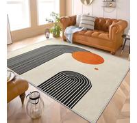 Tappeto Morbido e Flanella 80x150 cm Design Semplice E Moderno Tappeto Utilizzo TPR Fondo Antiscivolo Minimalismo Lavabile in lavatrice per Camera da letto Camera dei Bambini