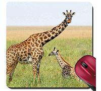 Tappeto Mouse, A Young Giraffe And His Mother Giraffa Camelopardalis Mousepad Personalizzato Tappetino da Gaming Confortevole Gaming Tappetino Mouse per Notebook Gamers 25X30Cm