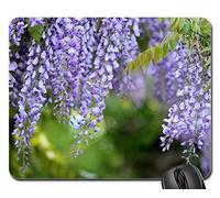 Tappeto Mouse, Acacia Glycine Wisteria Flowers Tree MOV Spring Tappetino per Mouse Liscia Tappetino per Il Mouse da Gioco Bordi Cuciti Mouse Pad per Casa Notebook 25X30Cm