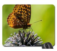 Tappeto Mouse, Garden Flower Nature Summer Insect Butterfly Tappetino Mouse Pad Antipolvere Mouse Pad Personalizzato Gaming Pad Per Laptop Ufficio 25X30Cm