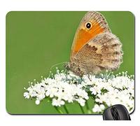 Tappeto Mouse, Insect Nature Live3 Gaming Pad Confortevole Tappetino per Mouse Ergonomico Mouse Pad per Notebook Laptop 25X30Cm