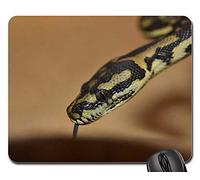Tappeto Mouse, Snake Yellow Snakehead Reptile Animal Close Head Tappetino Mouse Pad Antiscivolo Tappetini per Il Mouse Confortevole Gaming Pad per Pc Ufficio 25X30Cm
