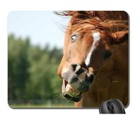 Tappeto Mouse, The Horse Konik Stupid Mina Funny Fun Teeth Pet Gaming Mousepad Liscia Tappetini per Il Mouse Bordi Cuciti Tappetino Mouse Gaming per Pc Laptop 25X30Cm