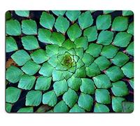 Tappeto Mouse, Water Chestnut Background Ludwigia Sedioides Hora Gaming Pad Lavabile Tappetini per Il Mouse Multifunzionale Tappetino Mouse Pad per Mouse Ufficio 25X30Cm