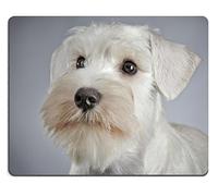 Tappeto Mouse, White Miniature Schnauzer Puppy 3 Month Old Tappetino Mouse Gaming Antiscivolo Tappetino Mouse Ergonomico Tappetino per Mouse per Mouse Gaming 25X30Cm