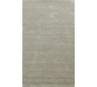 Tappeto Orientale Indiano In Lana/Seta Verde/Argento A Vortice 4x6