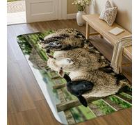 Tappeto per area di pecore, rustico naturale recinzione erba N/a verde a pelo basso spugna per interni zerbino accenti tappeto non perde ingresso bagno cucina decorazione porta 9 x 15 cm
