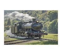Tappeto per treno a vapore per ingresso, lavabile, con retro in gomma antiscivolo, per cucina, morbido, resistente alle macchie, piccolo tappeto per camera da letto e bagno, decorazione per pavimento