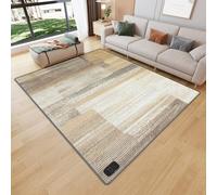 Tappeto Riscaldante Elettrico Al Grafene,Termoventilatore Elettrico,Il Termoventilatore For Camera Da Letto Più Efficiente Dal Punto Di Vista Energetico,Camere Da Letto(Style 4,100x150cm/39.4x59in)