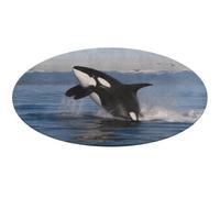 Tappeto rotondo con balena assassina, morbido, assorbente, tappetino da bagno per ingresso, antiscivolo, tappetino per porta anteriore e posteriore, 80 x 80 cm, per camera da letto, soggiorno