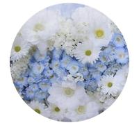 Tappeto rotondo con bellissimi fiori bianchi e blu, lavabile, tappeto rotondo antiscivolo per soggiorno, morbido e lavabile, tappeto moderno in corallo, tappetino da yoga per camera da letto, ufficio