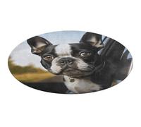 Tappeto rotondo con cucciolo di cane Boston Terrier, morbido, assorbente, tappetino da bagno per ingresso, antiscivolo, tappetino per porta anteriore e posteriore, 60 x 60 cm, per camera da letto