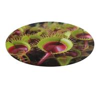 Tappeto rotondo con piante carnivore, lavabile, antiscivolo, per soggiorno, morbido, lavabile, per camera da letto, moderno, per yoga, ufficio, casa, regalo, 90 x 90 cm