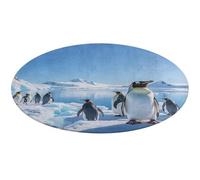 Tappeto rotondo con pinguino Antartide Ghiaccio morbido assorbente tappetino da bagno ingresso antiscivolo tappeto fattoria tappetino anteriore posteriore 80 x 80 cm per camera da letto soggiorno casa