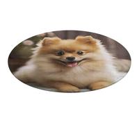 Tappeto rotondo con simpatico cane Pomerania, morbido, assorbente, tappetino da bagno per ingresso, antiscivolo, tappetino per porta anteriore e posteriore, 60 x 60 cm, per camera da letto, soggiorno