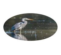 Tappeto rotondo con stampa di airone grigio in acqua, morbido e assorbente, tappetino da bagno per ingresso, antiscivolo, tappetino per porta anteriore e posteriore, 60 x 60 cm, per camera da letto