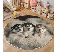 Tappeto Rotondo In Bianco E Nero Coperta Husky Grande Pelo Corto,3D Animali Carini Stampa Antiscivolo Tondo Moquette,Soggiorno Bambini Camera,Cucina,Bagno,Domestica Decor Tappeti,160Cm