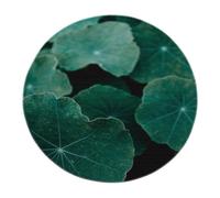 Tappeto rotondo in stile minimalista 200cm - Piante Tappeto circolare lavabile in morbida foglia di verde acqua per lavanderia sotto il tavolo Sala giochi Stanza dei giochi Solarium