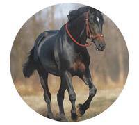 Tappeto rotondo lavabile con cavallo sul prato, tappeto antiscivolo, morbido e lavabile, per camera da letto, moderno, tappetino da yoga, per ufficio, casa, regalo, 80 x 80 cm