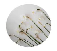 Tappeto rotondo morbido a pelo corto in stile minimalista 200cm - Tappeto circolare floreale narciso bianco pieghevole per spogliatoio Balcone
