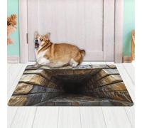 Tappeto Runner con illusione ottica 3D, tappeto che sembra un buco Facile da pulire, antiscivolo, perfetto per soggiorni, camere da letto e ingressi A 50x80cm