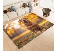 Tappeto Salotto 140x200 cm 3D Modelli Cane Erba Fiori Animale Tappeto Antiscivolo Lavabile in Lavatrice Tappeti Camera da Letto Imitazione Cashmere Adatto per Cameretta dei Bambini Zona Notte