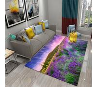 Tappeto Salotto Moderno Tappeto Pelo Corto Tappeto Soggiorno Fiori Delle Piante - Tappeto Camera De Letto Moquette - Tappeti Per Cucina Tappeto Sala Disegno Confine 80 X 120 Cm /6070438041767