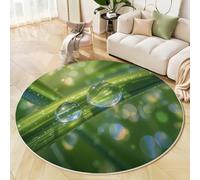 Tappeto Salotto Rotondo 150cm, Erba Gocce Di Rugiada Stampa Antiscivolo Tondo Verde Moquette, Morbida Flanella Realismo Fotografia Tappeto, Per Bambini Camera Cucina Domestica Decor Tappeti