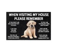 Tappeto shaggy con chihuahua siberiano, zerbino per cucina, bagno, cane, monologo, divertente, carino, zerbino di benvenuto divertente per casa (B, taglia unica)