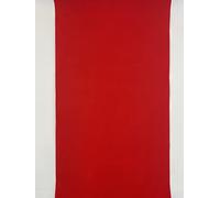 TappetoRosso Rotolo Cinque Metri Red Carpet Allestimento Negozi Paclhi Eventi Fiere Ignifugo Recite (1_x_5_m)