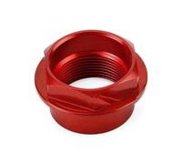 Tappi Bocchettoni Olio Per Panigale V2 V4 899 959 1199 1299 1098 1198 Diavel 1260 Xdiavel Bullone perno ruota anteriore Flangia dado perno ruota anteriore