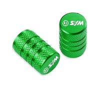 Tappi per valvole moto Per SYM MAXSYM 600i TL500 TL 500 DRG158 FNX150 Accessori Moto Tappi Copri Stelo Valvola Pneumatico In Alluminio CNC, 2 Pezzi(WW-3)