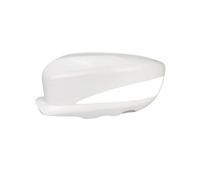 Tappi specchietto retrovisore Per BYD Per Surui Per Qin G5 Specchietti Retrovisori Per Auto Shell Cap Housing Wing Door Side Mirror Cover Accessori