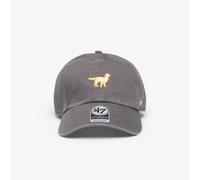 Tappo '47 Brand Clean Up Dog Icon Cap Grey Universal