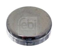 Tappo antigelo FEBI BILSTEIN 02543